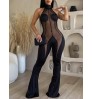 LW Backless See Through Flared Jumpsuit