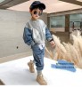 Boys Clothing New Arrival Fashion Spring Autumn Boys 2 Pieces Casual Clothing Set Full Sleeves T Shirt + Pants For Kids