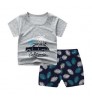 Boys Clothings Sets Kids boutique 2 Pcs Pure Cotton Short Sleeve Children Clothes Suit Summer Baby Clothings