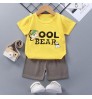 Summer European Style Cotton Kids Print Baby Boy Clothes Sets Children's Clothing Sets Children's wear