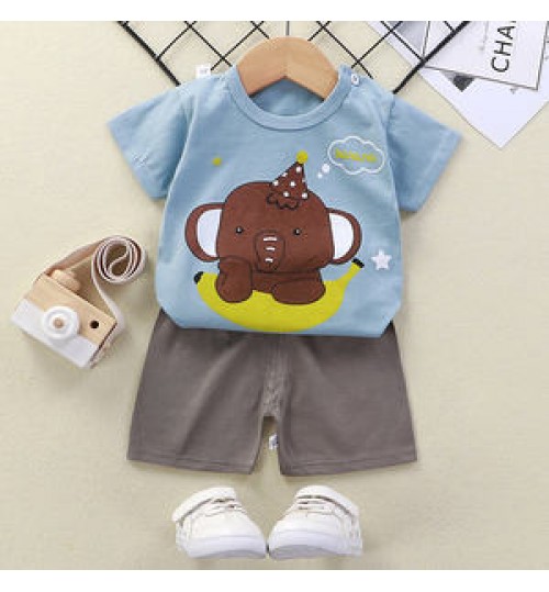 Summer 2 Sets of Clothing Short-Sleeved Boy T-Shirt Cotton Baby Children's Clothing