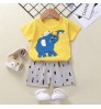 Summer 2 Sets of Clothing Short-Sleeved Boy T-Shirt Cotton Baby Children's Clothing