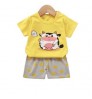 Summer 2 Sets of Clothing Short-Sleeved Boy T-Shirt Cotton Baby Children's Clothing