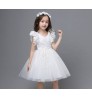 Children's princess dress tutu skirt girls summer gray pink new style dress for baby girl baby lace dresses