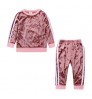 2022 Wholesale Casual Spring Autumn Winter 2 pieces Long Outfits Golden Velvet Girl Boy Children's Clothing Girls' Clothing Sets