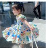 Baby Girls Princess Dresses Toddler Sleeveless Flowers Print Dress Girl Skirt Color Bubble Sleeve Dress Princess Skirt