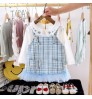 kids girl dress autumn new style girl dresses Good quality and low price 1 to 4 years baby dresses