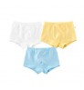 Factory custom wholesale customized plain color organic cotton toddler baby boy underwear