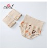kids clothing boys kids panty underwear brief baby underwear 100% cotton boy's underwear