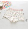 5pcs per set Washable soft touch underwear, girls baby high quality cotton kids baby underwear girls panties underwear