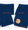 Blank Custom Logo Polyester Gym Mesh Sports Athletic Running Sport Fitness Beach Basketball Jogging Man Loose Shorts